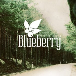Blueberry studio
